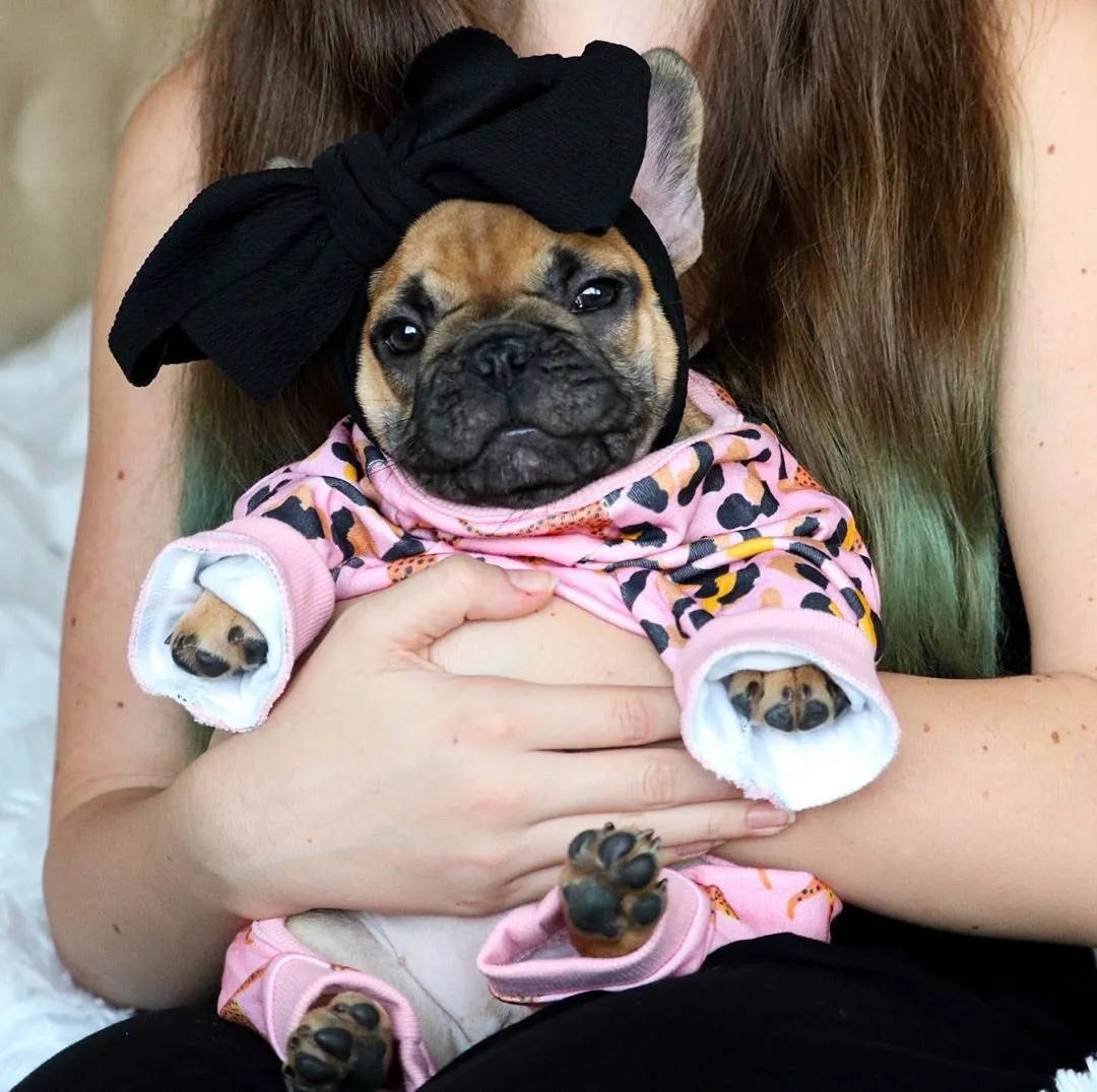 French Bulldog Pajamas | Frenchie Clothing | Wild One