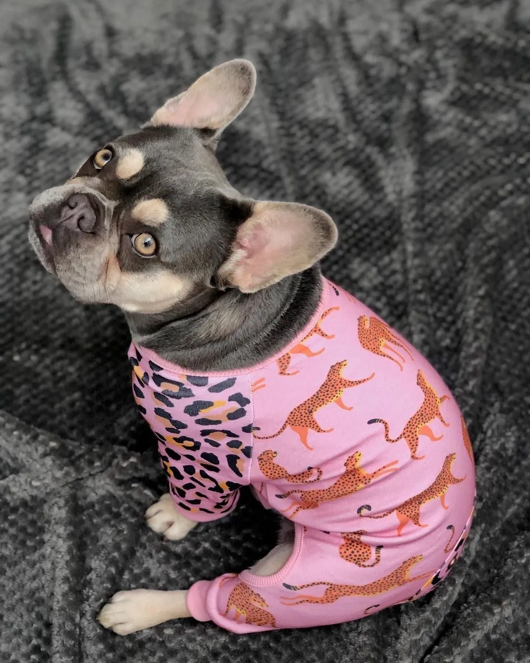 French Bulldog Pajamas | Frenchie Clothing | Wild One